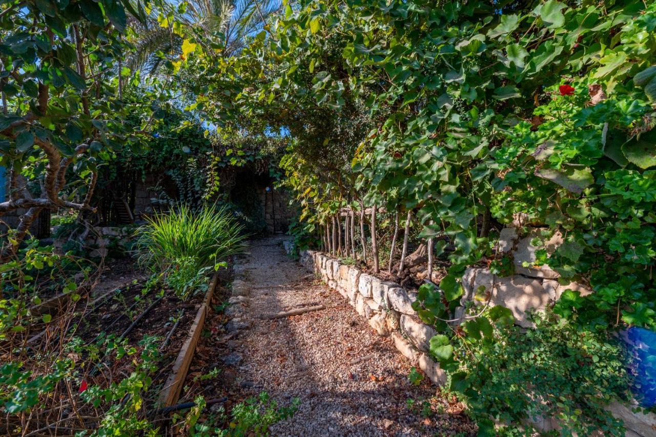 Hemdatya Stone Suites In The Galilee Ilaniya 外观 照片