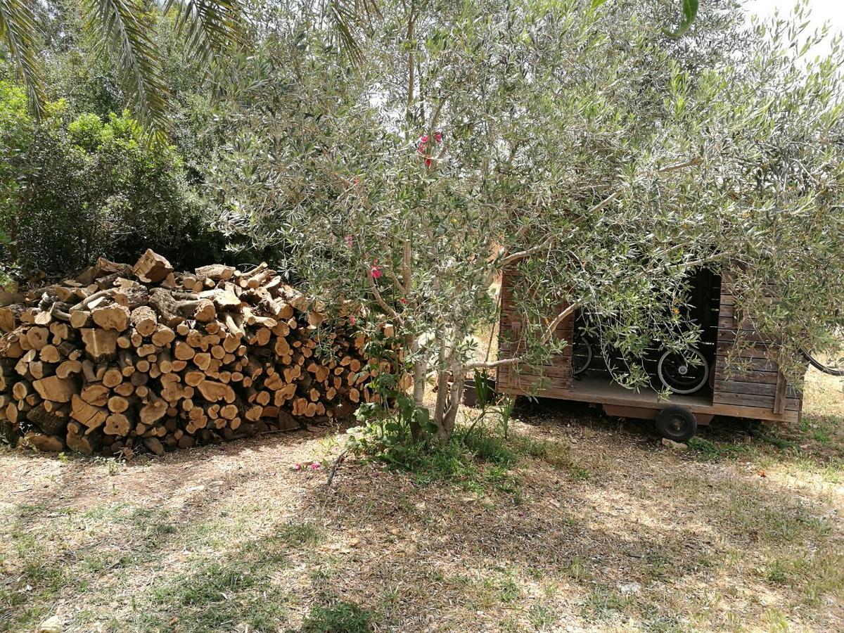 Hemdatya Stone Suites In The Galilee Ilaniya 外观 照片