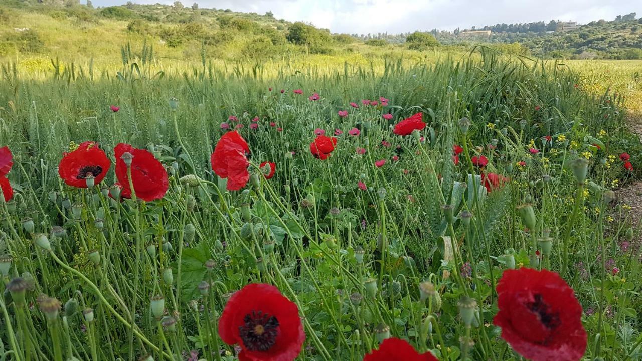 Hemdatya Stone Suites In The Galilee Ilaniya 外观 照片